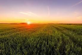 download.jpg - Terreno agricolo Via Ghizzole, Longare - foto 2