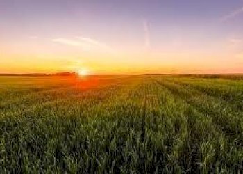 download.jpg - Terreno agricolo Via Ghizzole, Longare - foto 2