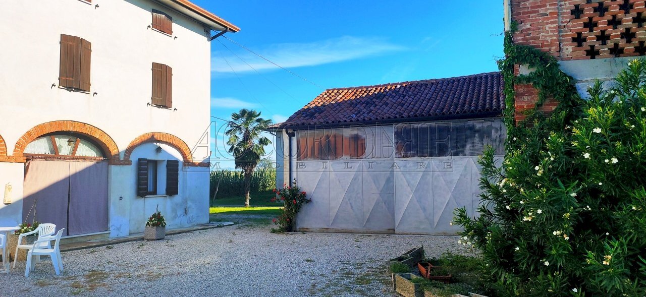 IMG20250904091658.jpg - Casa indipendente Via borgo, Longare - foto 3