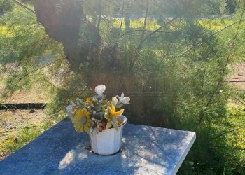 IMG20250904091718.jpg - Casa indipendente Via borgo, Longare - foto 11