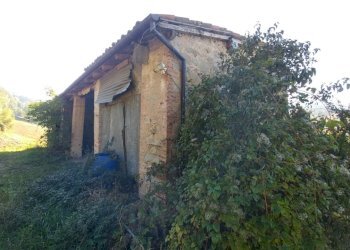 stalla (16).jpg - Rustic Via Montalbano 3370, Zocca - photo 16