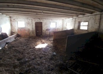 stalla (20).jpg - Rustic Via Montalbano 3370, Zocca - photo 20