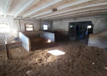 stalla (21).jpg - Rustic Via Montalbano 3370, Zocca - photo 21