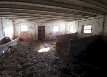 stalla (23).jpg - Rustic Via Montalbano 3370, Zocca - photo 23