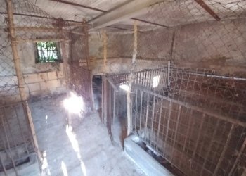 5 (15).jpg - Rustic Via Montalbano 3370, Zocca - photo 18