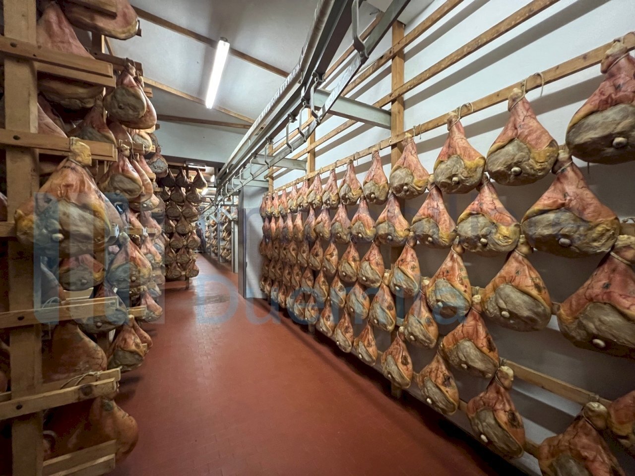 IMMAGINE14-ink.jpeg - Non Alimentare Savignano sul Panaro - foto 1