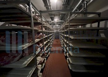 IMMAGINE05-ink.jpeg - Non Alimentare Savignano sul Panaro - foto 6