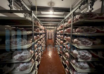 IMMAGINE06-ink.jpeg - Non Alimentare Savignano sul Panaro - foto 7