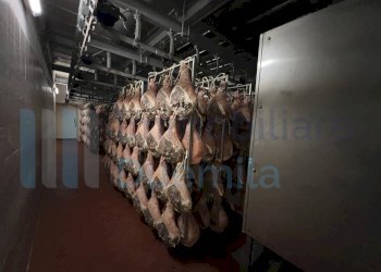 IMMAGINE07-ink.jpeg - Non Alimentare Savignano sul Panaro - foto 8