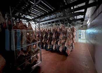 IMMAGINE08-ink.jpeg - Non Alimentare Savignano sul Panaro - foto 9