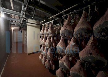 IMMAGINE09-ink.jpeg - Non Alimentare Savignano sul Panaro - foto 10