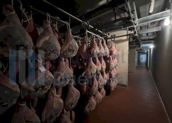 IMMAGINE10-ink.jpeg - Non Alimentare Savignano sul Panaro - foto 11