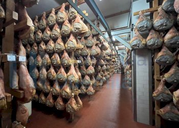 IMMAGINE15-ink.jpeg - Non Alimentare Savignano sul Panaro - foto 16