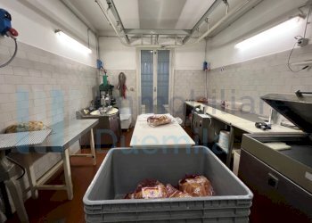 IMMAGINE16-ink.jpeg - Non Alimentare Savignano sul Panaro - foto 17