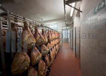 IMMAGINE21-ink.jpeg - Non Alimentare Savignano sul Panaro - foto 22