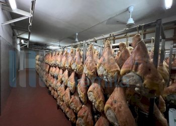 IMMAGINE22-ink.jpeg - Non Alimentare Savignano sul Panaro - foto 23