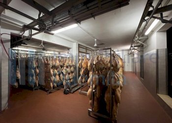 IMMAGINE25-ink.jpeg - Non Alimentare Savignano sul Panaro - foto 26