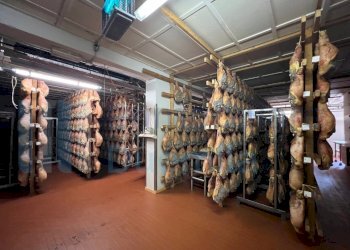 IMMAGINE26-ink.jpeg - Non Alimentare Savignano sul Panaro - foto 27
