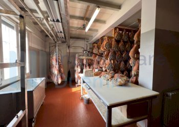 IMMAGINE27-ink.jpeg - Non Alimentare Savignano sul Panaro - foto 28