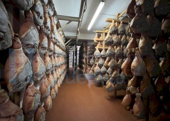 IMMAGINE28-ink.jpeg - Non Alimentare Savignano sul Panaro - foto 29