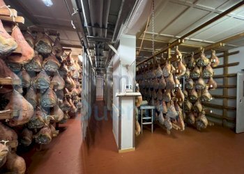 IMMAGINE29-ink.jpeg - Non Alimentare Savignano sul Panaro - foto 30
