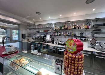 IMMAGINE05-ink.jpeg - Bar Tavola Calda - Fredda Bologna - foto 5