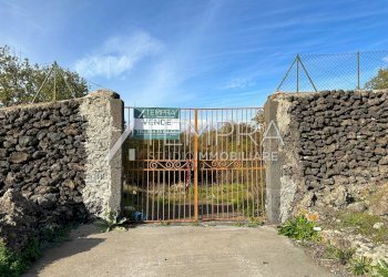 IMG_5507 - dimensioni grandi.jpeg - Casale Adrano - foto 22