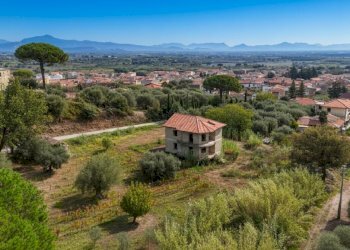 Villa Falciano del Massico - foto 4