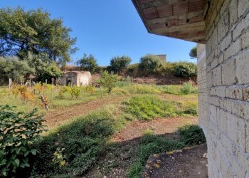 Villa Falciano del Massico - foto 9