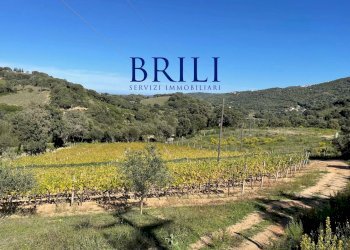 Terreno edificabile Località Vaddidulimu, Luogosanto - foto 4