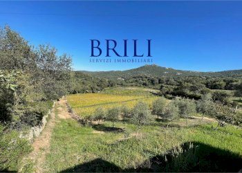 Terreno edificabile Località Vaddidulimu, Luogosanto - foto 5