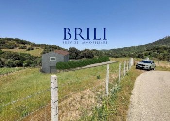 Terreno edificabile Località Vaddidulimu, Luogosanto - foto 12