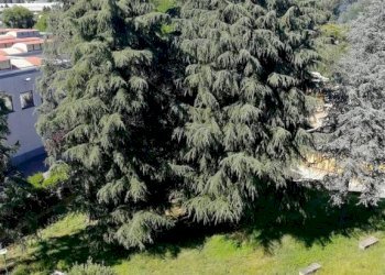 Three-room apartment San Mauro Torinese - photo 3