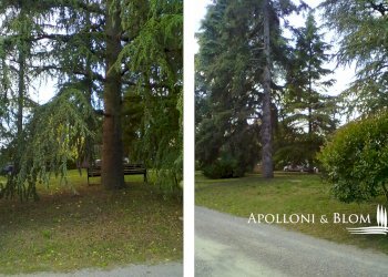 Appartamento SP 408 di Montevarchi, 152, Siena - foto 12