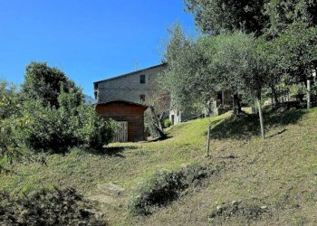 Rustico Barga - foto 16