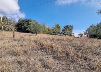 Foto 24 - Casa indipendente Via Comunale Civita, San Sossio Baronia - foto 24