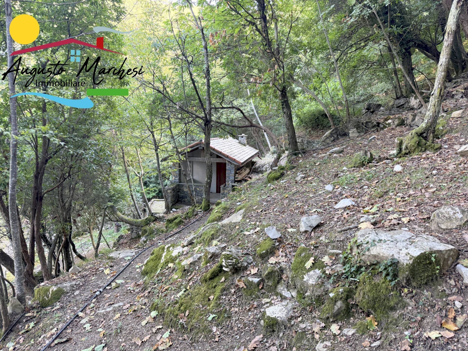 Foto 2 - Rustico VIA SAN ROCCO
 
SNC, Camogli - foto 2