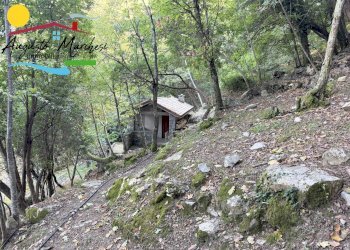 Foto 2 - Rustico VIA SAN ROCCO
 
SNC, Camogli - foto 2