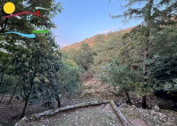 Foto 14 - Rustico VIA SAN ROCCO
 
SNC, Camogli - foto 14