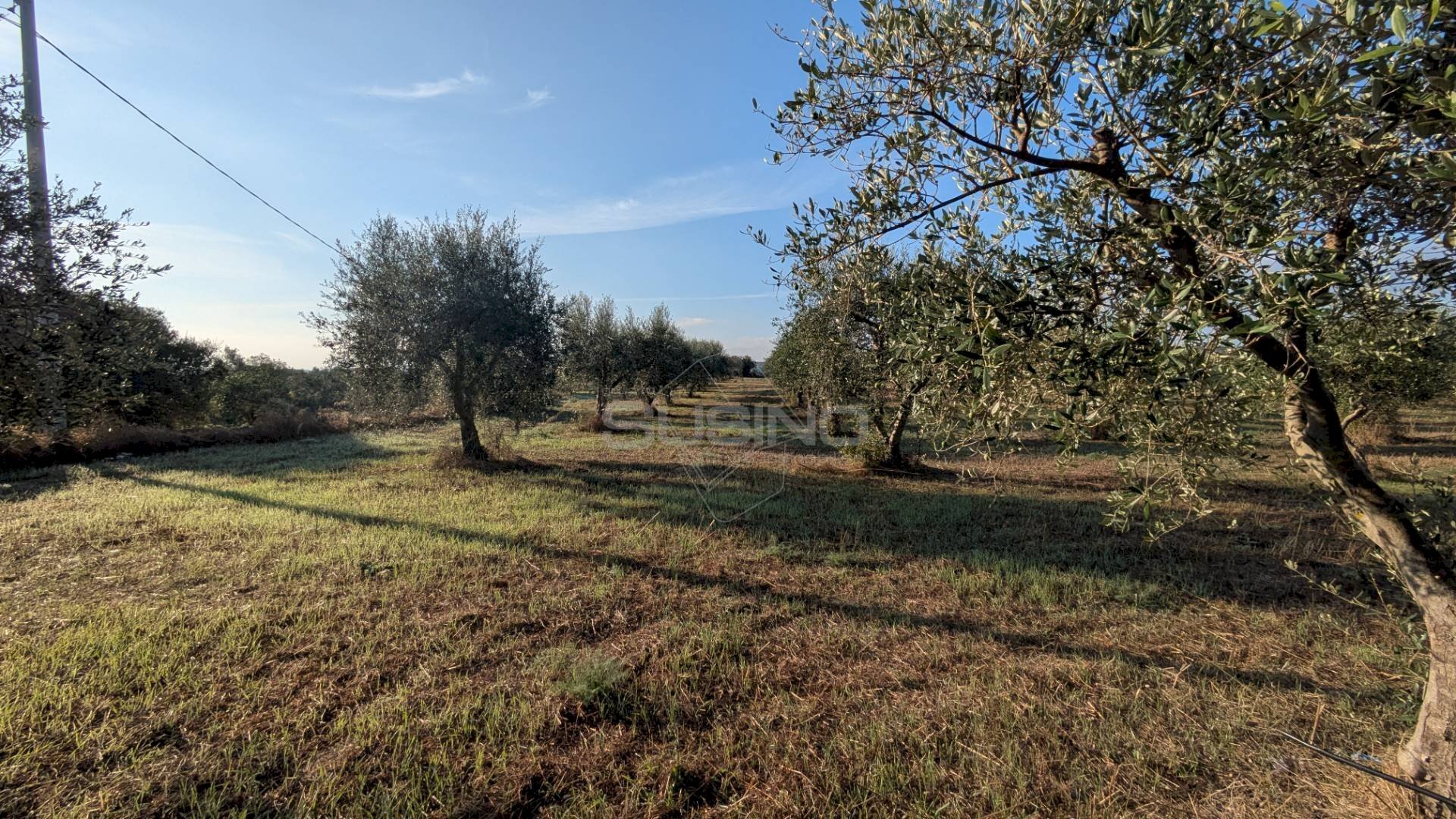 Foto 1 - Agricultural land Strada Stallaini
 
snc, Noto - photo 1