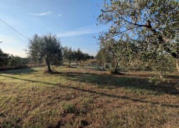 Foto 2 - Terreno agricolo Strada Stallaini
snc, Noto - foto 2