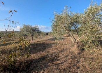 Foto 3 - Terreno agricolo Strada Stallaini
snc, Noto - foto 3