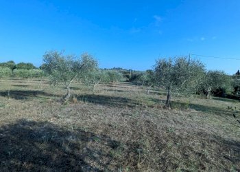 Foto 11 - Terreno agricolo Strada Stallaini
snc, Noto - foto 11
