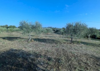 Foto 12 - Terreno agricolo Strada Stallaini
snc, Noto - foto 12