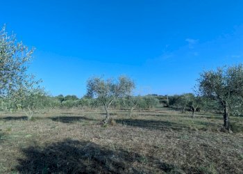 Foto 13 - Terreno agricolo Strada Stallaini
snc, Noto - foto 13
