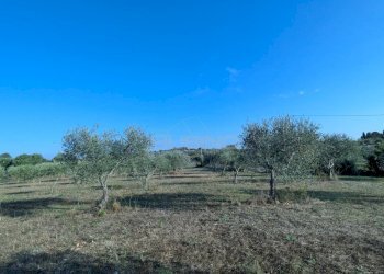 Foto 14 - Terreno agricolo Strada Stallaini
snc, Noto - foto 14