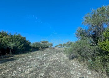 Foto 15 - Terreno agricolo Strada Stallaini
snc, Noto - foto 15