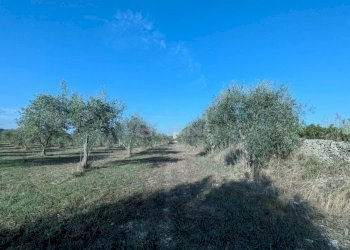 Foto 17 - Terreno agricolo Strada Stallaini
snc, Noto - foto 17