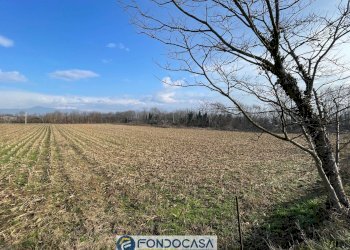 Foto 5 - Terreno agricolo Passirano - foto 5