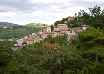 Foto 50 - Villa Località Montazzolino, Montefortino - foto 50